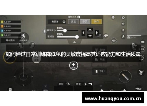 如何通过日常训练降低龟的灵敏度提高其适应能力和生活质量