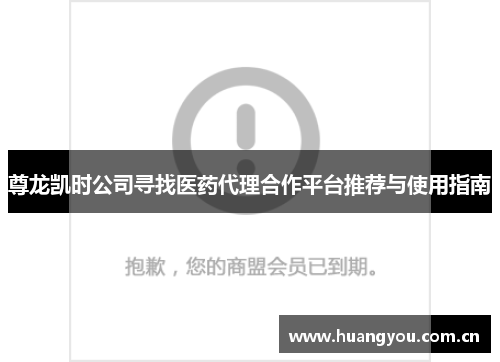 尊龙凯时公司寻找医药代理合作平台推荐与使用指南