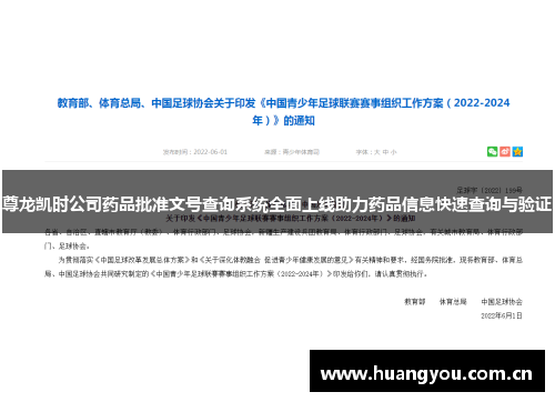 尊龙凯时公司药品批准文号查询系统全面上线助力药品信息快速查询与验证