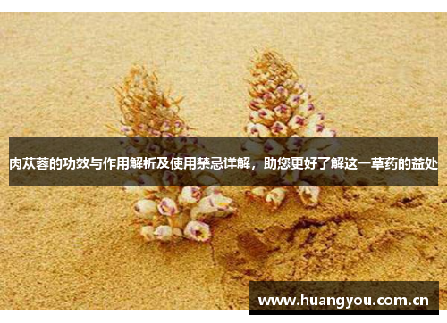 肉苁蓉的功效与作用解析及使用禁忌详解，助您更好了解这一草药的益处