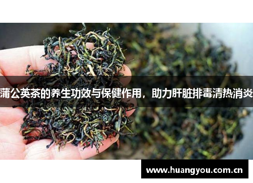蒲公英茶的养生功效与保健作用,助力肝脏排毒清热消炎 蒲公英茶的养生功效与保健作用,助力肝脏排毒清热消炎