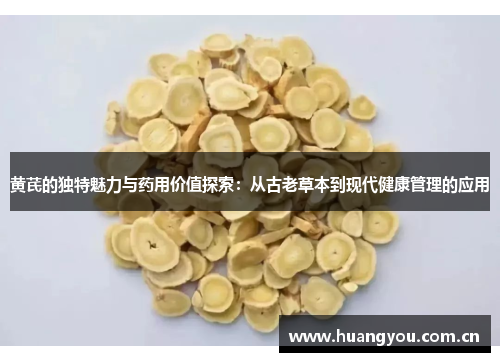 黄芪的独特魅力与药用价值探索：从古老草本到现代健康管理的应用
